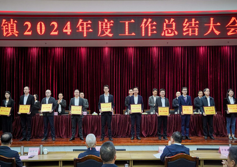 双项殊荣！佳禾电声荣登石排镇2024年度“双十强”榜单